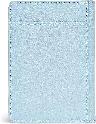 Vista 4 de RADLEY London Chartwell - Funda para pasaporte y tarjetero en caja, Témpano
