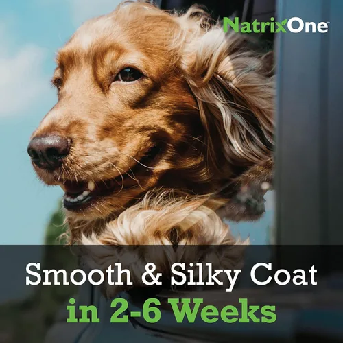 Vista 3 de Aceite de camelina 100% puro para perros, 8 onzas – Suplemento para piel y pelaje de perro, suplementos totalmente naturales, apoyo a corazones