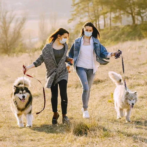 Vista 6 de FGZ Calcetines finos de algodón para mujer, calcetines de algodón suave para mujer, calcetines por encima del tobillo, 5 pares