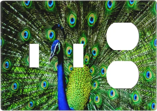 Vista 10 de Cubierta decorativa para toma de corriente de pavo real, cubierta de salida de 1 banda, cubierta de placa de interruptor de luz, placas