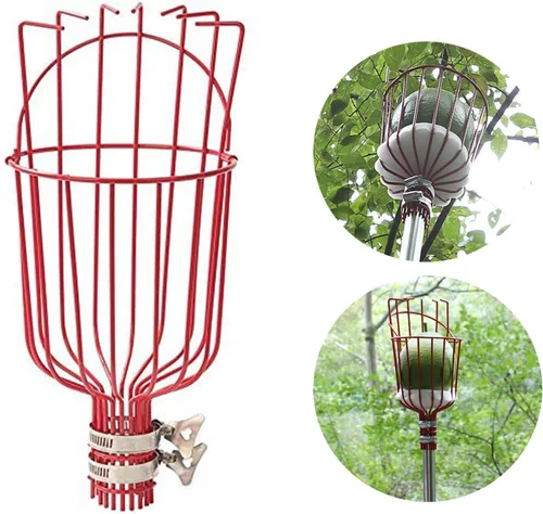 Vista 4 de DIIG Recolector de frutas, herramienta para recoger frutas de 8 pies con poste de conexión de acero inoxidable, equipo de recolección de frutas