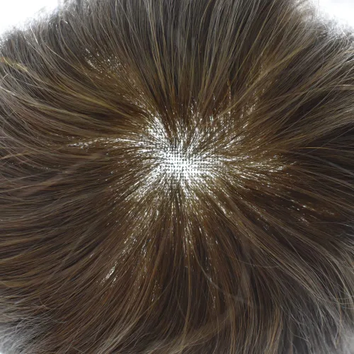 Vista 4 de Toupee - Sistemas de reemplazo de cabello para hombre, encaje suizo frontal, toupee nudo blanqueado, cabello humano gris, marrón, negro, rubio