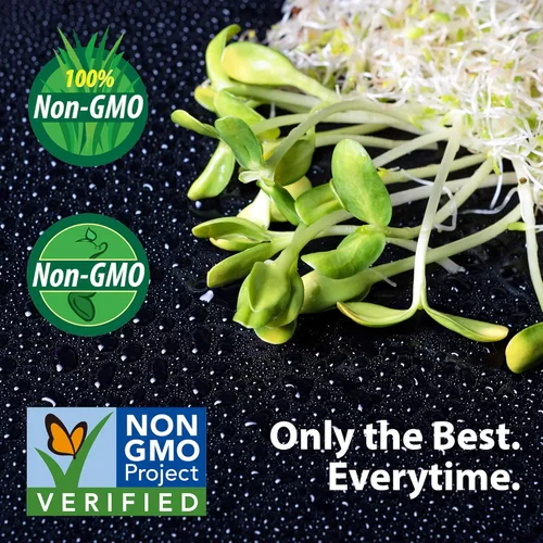 Vista 4 de Handy Pantry Semillas de avena enteras orgánicas sin OMG de 2 libras (con cáscara intacta), granos de semillas de avena, para brotar, hierba