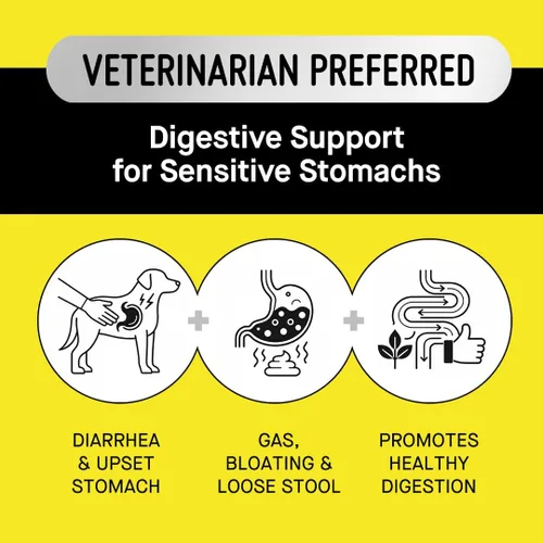 Vista 2 de Koby Polvo probiótico para perros, fabricado con ingredientes orgánicos limpios del USDA para el apoyo intestinal, digestivo, de la piel