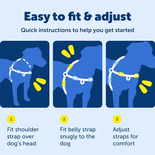 Vista 6 de PetSafe Arnés Easy Walk para perros, paseos sin tirar, diseño patentado de bucle Martingala, fijación de correa delantera en el pecho, correas