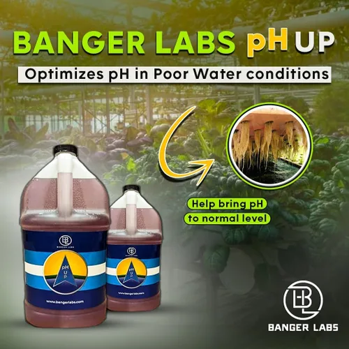 Vista 4 de Solución prémium de pH Up: corrige los desequilibrios de pH, maximiza la absorción de nutrientes, previene las plantas enfermizas, ajuste del pH