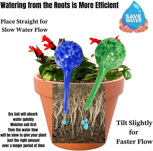 Vista 3 de Evelots Globos de riego de plantas (paquete de 3) - Vidrio soplado a mano - Sistema automático de riego de agua - Interior/exterior - Deja tu hogar