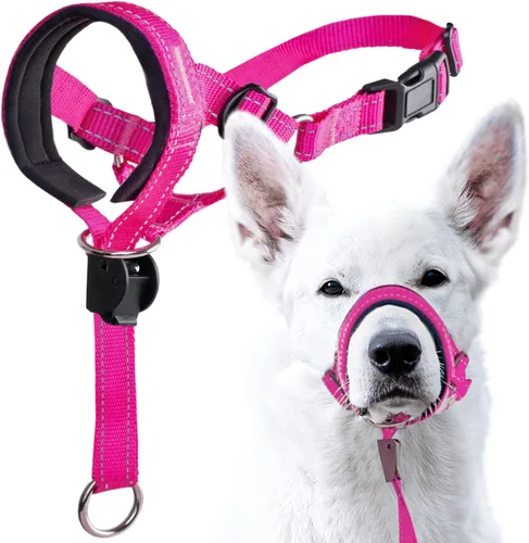 Vista 15 de GoodBoy - Cabestro con correa de seguridad para cabeza de perro, evita que se tiren de la correa, con acolchado para tamaños pequeños, medianos