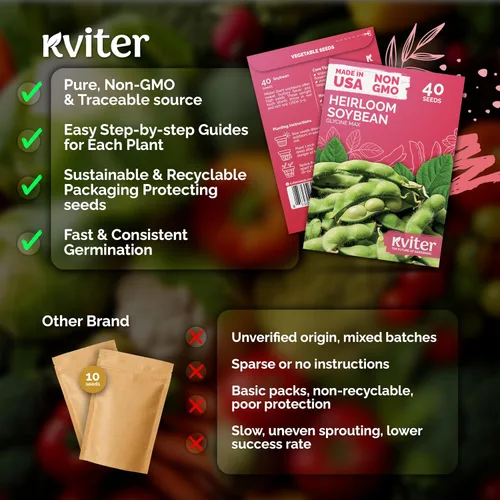 Vista 5 de 40 semillas de vegetales de soya Midori Giant Edamame Heirloom, Glycine Max