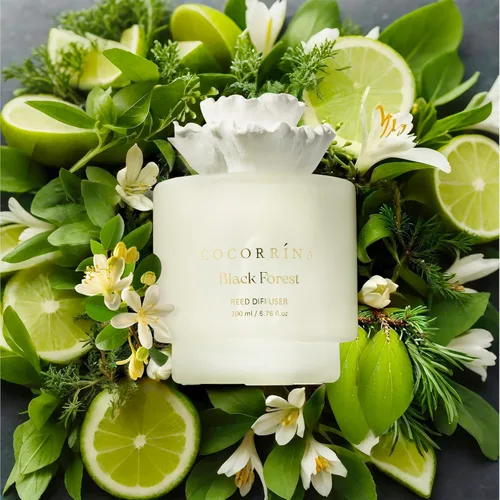 Vista 3 de COCORRÍNA Difusor de Caña de Flor de Yeso – Aroma de Bosque Negro, Aceite de 6.76 oz con 8 Varillas, Fragancia de Larga Duración para el Hogar