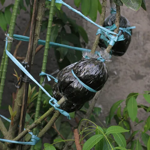 Vista 4 de Cuerda de nailon de poliéster