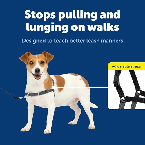 Vista 3 de PetSafe Arnés Easy Walk para perros, paseos sin tirar, diseño patentado de bucle Martingala, fijación de correa delantera en el pecho, correas