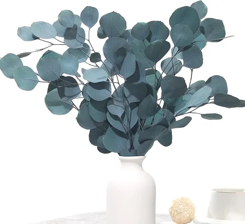 Tallos de eucalipto secos preservados, ramas verdes reales azules, 4-10 hojas de dólar plateadas para relleno de jarrón, planta de guirnalda de