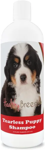 Vista 97 de Healthy Breeds Affenpinscher - Champú para perros sin lágrimas, 16 onzas