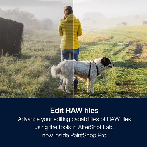 Vista 5 de Corel PaintShop Pro 2023 Ultimate Potente software de edición de fotos y diseño gráfico + Creative Suite [Descarga de PC]