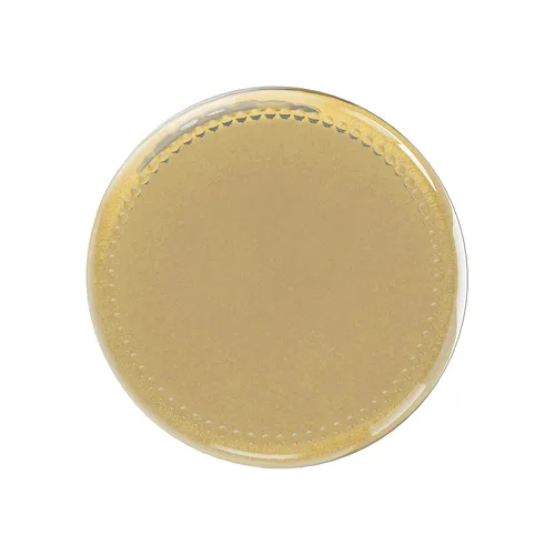 Vista 5 de Frontier Co-op Polvo de raíz de jengibre orgánico, botella de 1.31 onzas, polvo dulce picante para alimentos y té, finamente molido, Kosher