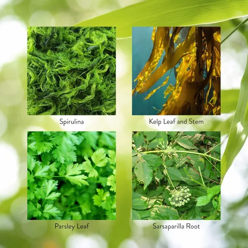 Vista 5 de Nature's Sunshine Activador de la tiroides 100 Cápsulas