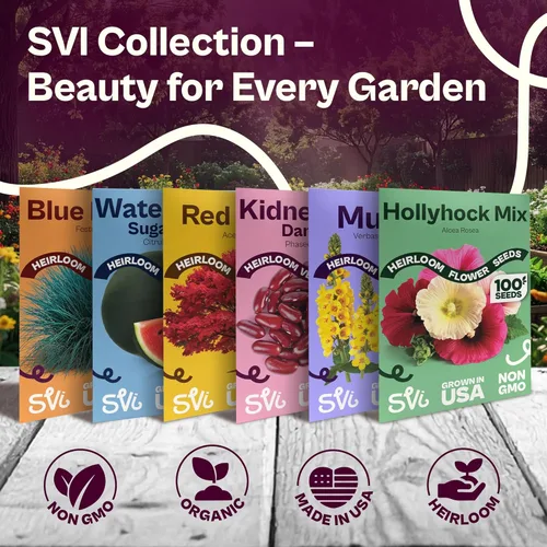 Vista 22 de SVI 550 Large Red Cherry Tomato Seeds (Solanum lycoperscium) – Cherry Tomatoes Seed Packets, Mini Tomatoes On The Vine – Heirloom Vegetable Seeds in