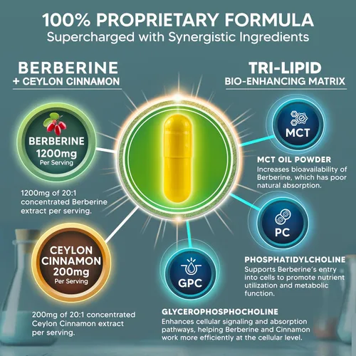 Vista 3 de aSquared Nutrition Suplemento de Berberina con Canela de Ceilán - Complejo de Máxima Potencia de 1400mg - 120 Cápsulas - Extracto en Polvo HCl