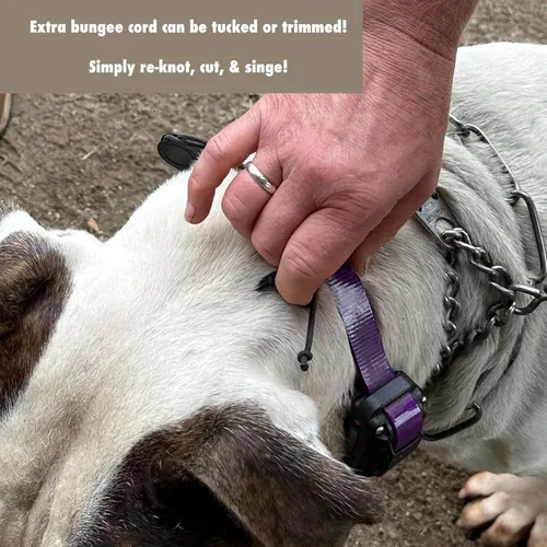 Vista 7 de SparkDog Collars Correa de repuesto para collar en E de ajuste rápido para correa de repuesto Dogtra, BioThane®, fabricado en los Estados Unidos