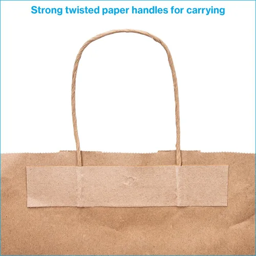 Vista 3 de SSWBasics Bolsa de compras de papel kraft marrón – Grande (16 pulgadas de largo x 6 pulgadas de profundidad x 12 ½ pulgadas de alto) – Caja de 100