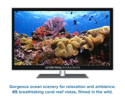 Vista 3 de Reefscapes Nature's Aquarium