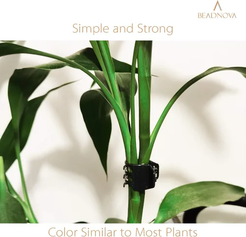 Vista 4 de BEADNOVA 100 clips de orquídeas grandes para orquídeas para plantas de flores y vides (0.8 in, 100 unidades)