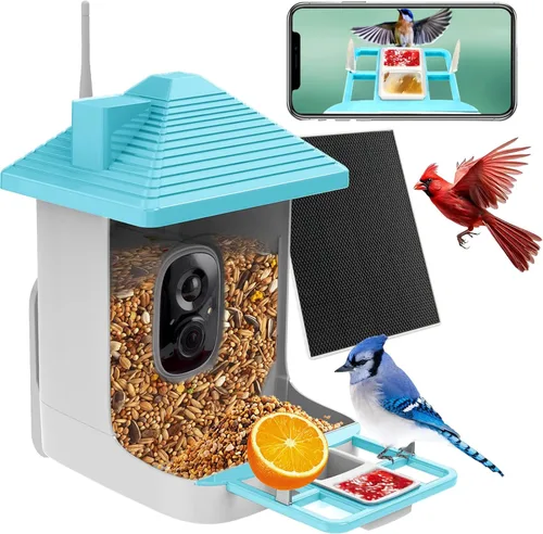 Comedero inteligente para pájaros con cámara, identificación de especies con inteligencia artificial, casa de pájaros con energía solar, alertas de