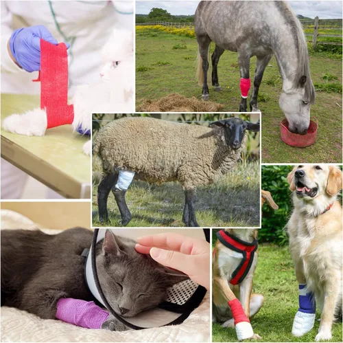 Vista 6 de 12/24/48/72 vendajes autoadhesivos, 1/2/3/4 pulgadas 5 yardas, multicolor/color de piel (4 pulgadas, 72 unidades multicolor)