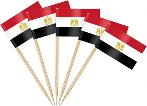 Vista 34 de AhfuLife Palillo de dientes con bandera de Argentina, 100 piezas de palillos de cóctel de Argentina, adornos para cupcakes argentinos