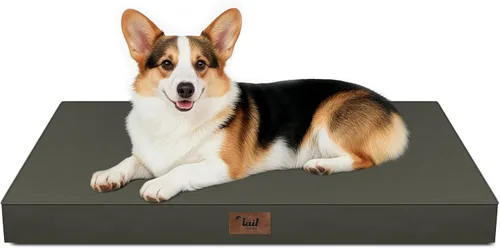 Vista 125 de Cama para perros y gatos pequeños, impermeable, para jaula de huevos, espuma ortopédica con funda Oxford lavable y extraíble, color verde Amy