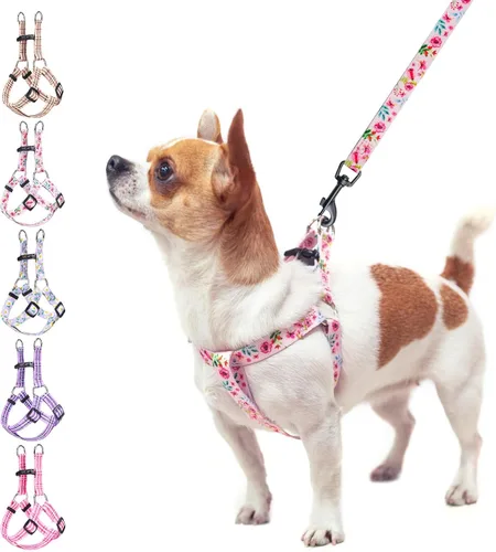 Vista 10 de BEAUTYZOO Juego de arnés y correa para perro, arnés ajustable para cachorros, chaleco de nailon suave a prueba de escapes con doble anillo en D