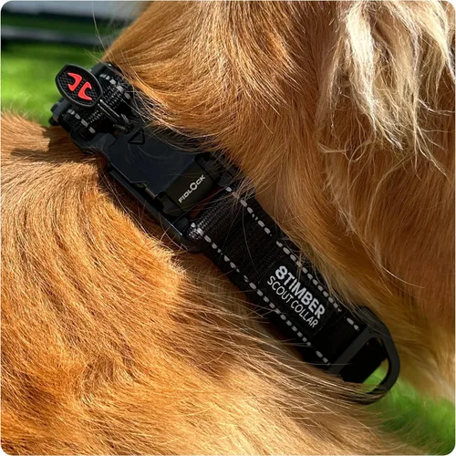 Vista 3 de 8TIMBER Collar de perro Scout – con innovadora hebilla en V FIDLOCK 25 – Mediano – Collar de cierre magnético seguro y elegante para perros Collar