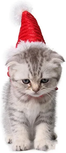 Vista 3 de Juego de gorro y bufanda de Navidad para perros pequeños, cachorros, gatos, 2 piezas de sombrero de Santa ajustable y bufanda de punto, disfraz