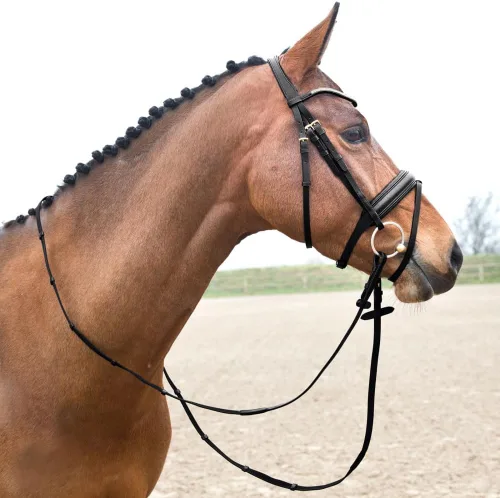 Vista 2 de HORZE Lester Dressage Snaffle Bridle w/Riendas