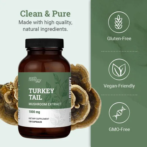 Vista 4 de Earth Harmony - Cápsulas orgánicas de hongos de cola de pavo (1000 mg de extracto puro) – Suplemento de hongos superalimentos que ayuda a la salud
