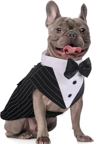 Vista 17 de DORA BRIDAL Esmoquin para perros pequeños, traje de perro y corbatín, traje formal de boda para perros, conjunto de esmoquin y bandana