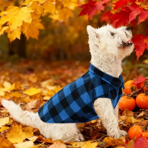Vista 10 de KAMA BRIDAL - Abrigo de primavera, otoño e invierno para perros y gatos, chaleco de forro polar con capucha para perros, suéter delgado, a cuadros