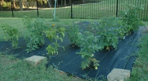 Vista 3 de WFGB_BO Manta de riego de jardín sin malas hierbas de 8 pies x 10 pies con manguera de cabecera