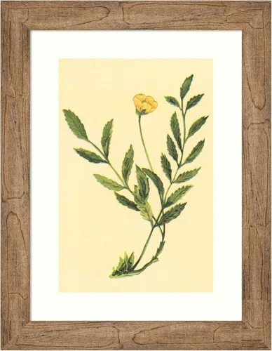 Amanti Art Framed Wall Art Print 24x18 Silver Weed by PI Collection, Flowers Wall Art, Vintage Decor, Small Poster Painting Artwork for Living Room,