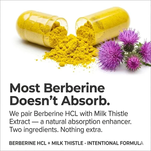 Vista 2 de Blue Organix Berberina con cardo mariano 500 mg Fórmula HCL Complejo Suplemento con silimarina para una mejor absorción, 90 cápsulas vegetarianas, 1