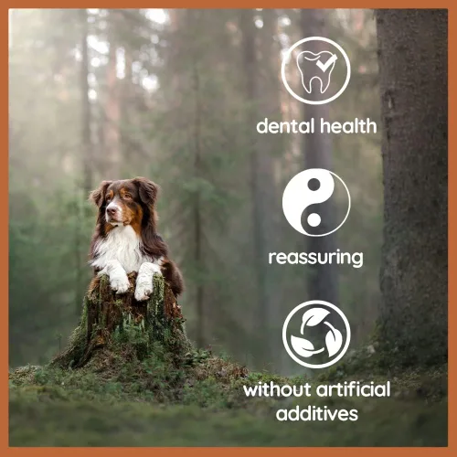 Vista 4 de Wildfang® Palitos masticables de madera de olivo para perros, pequeños - Juguetes masticables resistentes para masticadores agresivos, juguetes