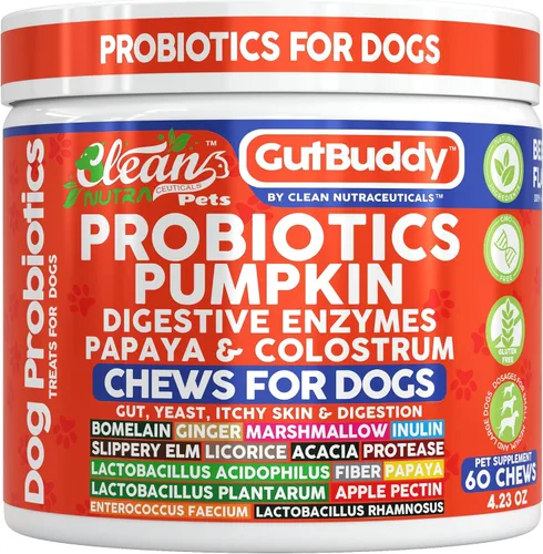 Probióticos para la salud intestinal para perros + enzimas digestivas de calabaza y colostrum, jengibre, corteza de olmo resbaladizo, regaliz, fibra