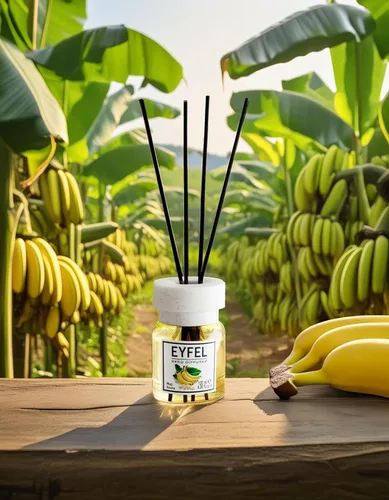 Vista 2 de EYFEL - Juego de difusor de varillas de plátano, 4.05 onzas líquidas, varillas perfumadas para decoración del hogar y el baño