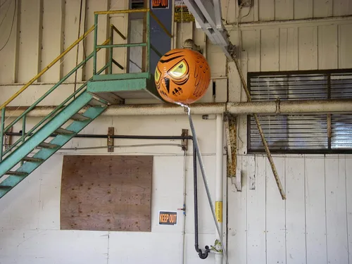 Vista 4 de Bird-X Señuelo inflable gigante del búho de los ojos 3-D que mueven los ojos del terror