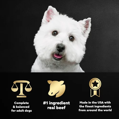 Vista 5 de Cesar Filets in Gravy, alimento húmedo para perros adultos, sabor a tira de Nueva York, comida húmeda para perros, bandeja de 3.5 onzas