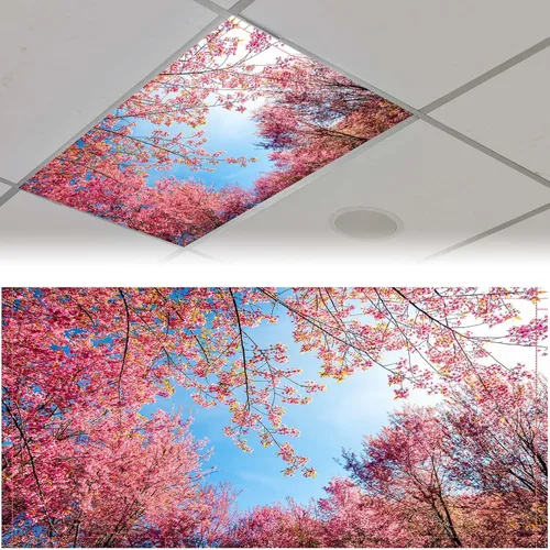 Vista 16 de Patelai Cubierta de luz fluorescente de tela de 4 x 2 pies para techo, aula, pantalla magnética para cubículo con 10 imanes, filtros de luz