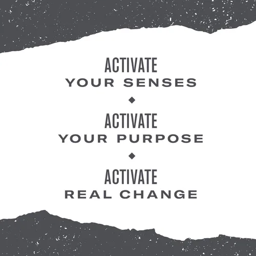 Vista 6 de Numi Té Orgánico de Mate con Limón, 100 Bolsas de Té Verde, Yerba Mate con Té Verde y Mirto de Limón, Con Cafeína