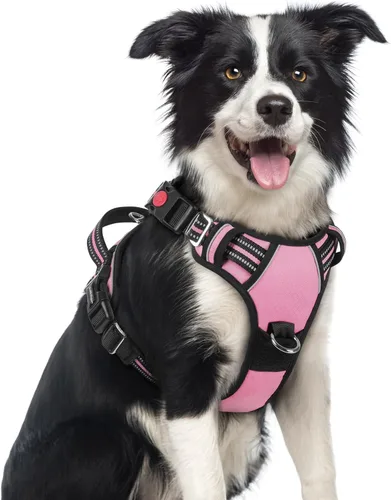 Vista 46 de rabbitgoo Arnés para perro de tamaño pequeño, chaleco para perro sin tirones con 3 hebillas, arnés ajustable y acolchado suave para mascotas con asa