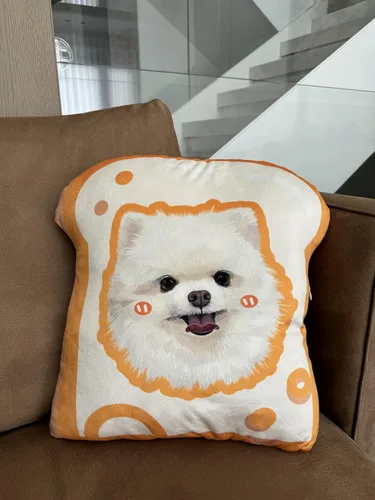 Vista 5 de Almohadas personalizadas para retratos de mascotas con fotos, almohada de perro 3D dibujada a mano, almohada personalizada de cara de gato